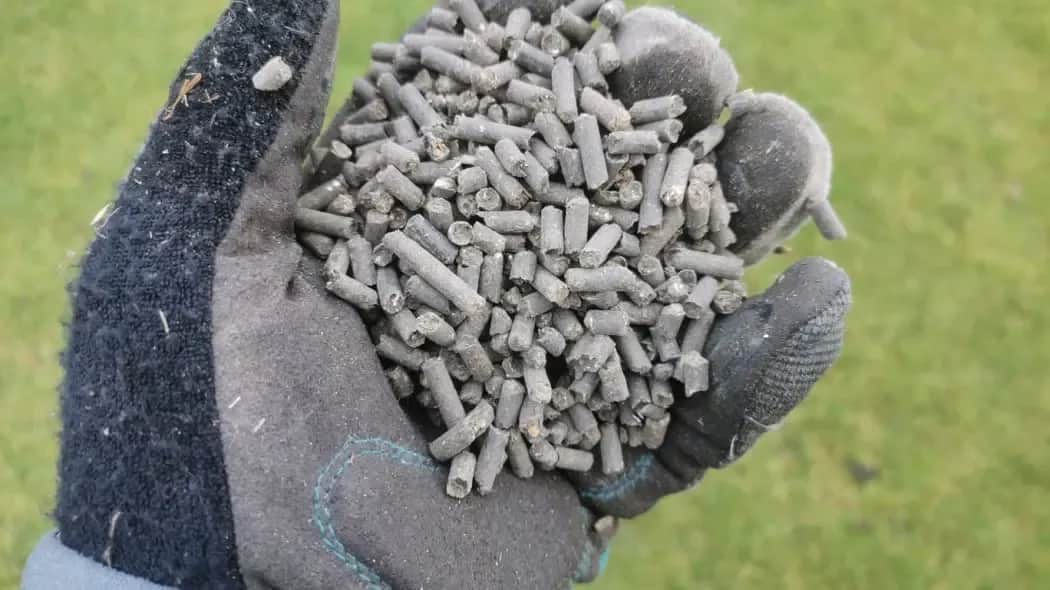 Obornik granulowany na trawnik: kiedy i jak? Sekret bujnej murawy