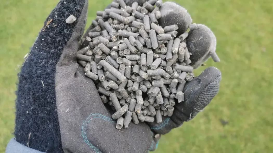 Obornik granulowany na trawnik: kiedy i jak? Sekret bujnej murawy