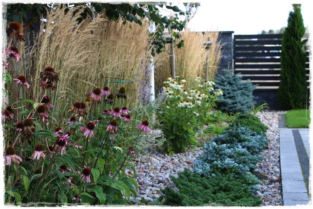 Idealne towarzystwo dla krzewuszki: Kwitnąca rabata marzeń!