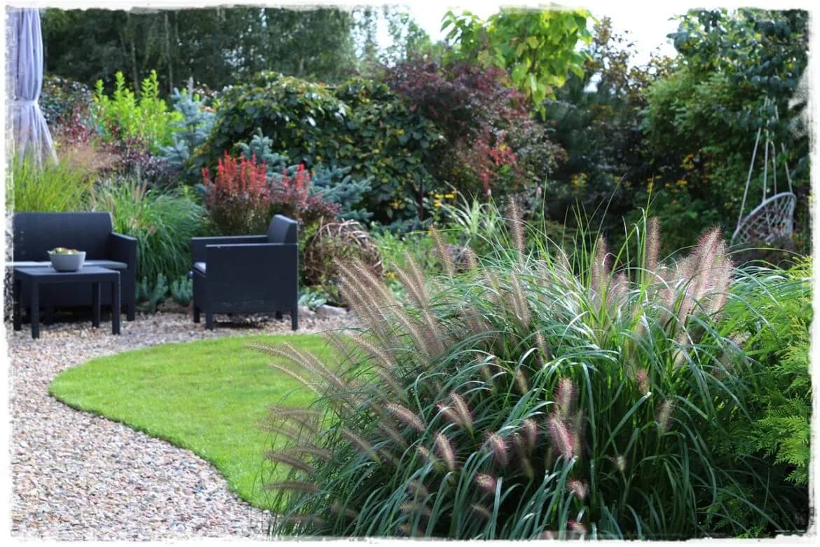 Czym oddzielić trawnik? Poznaj wszystkie opcje i wybierz idealną!